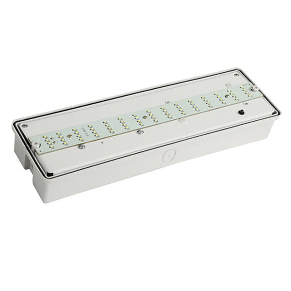 Özel Duvar Yüzeye Monte Su Geçirmez Acil Durum Lambası IP65 SMD Nemli Ortam Dış Mekan EL060AN