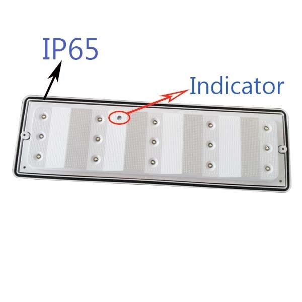 Duvar Sıva Üstü IP65 Su Geçirmez LED Acil Bölme Lambası