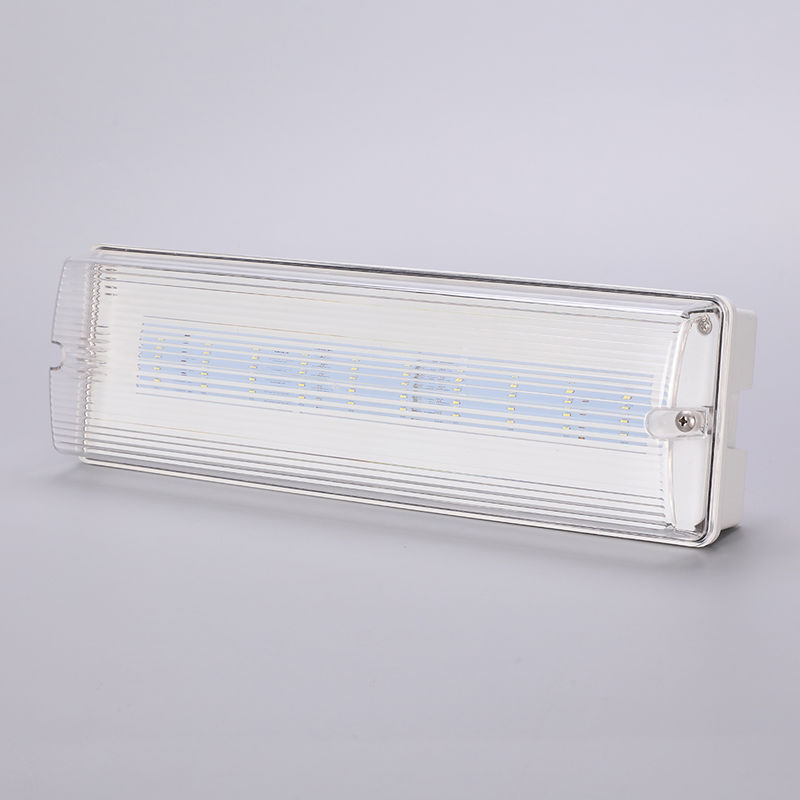 Su geçirmez LED acil durum ışığı 3H Ni Cd Pil yedekleme 3.6V 1.0Ah 5pcs SMD 5730 IP65 6500K
