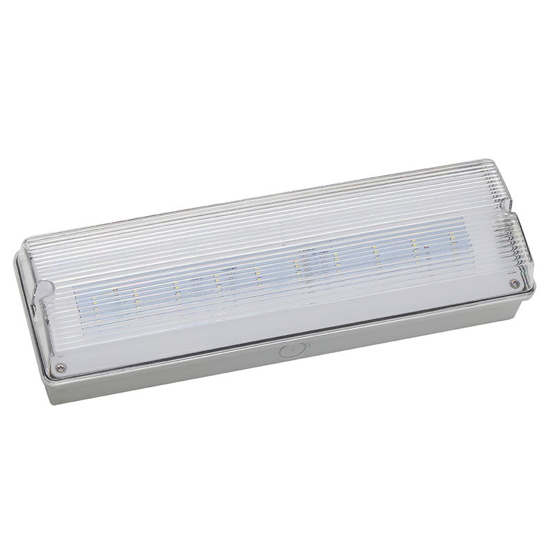 Su geçirmez LED acil durum ışığı 3H Ni Cd Pil yedekleme 3.6V 1.0Ah 5pcs SMD 5730 IP65 6500K