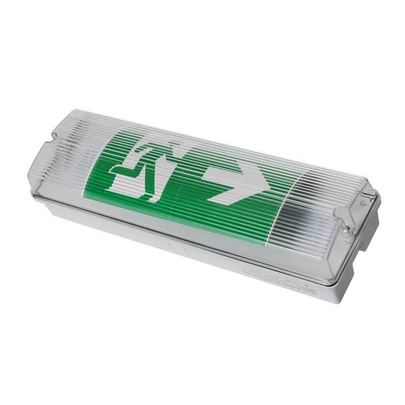 Asansör LED Hava Duruma Dayanıklı Acil Durum Işığı IP65 220V 240V 3H Yedek Ni Cd Pil Luminary