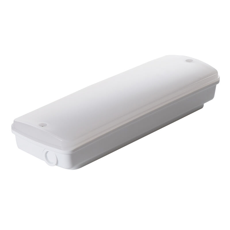 Endüstriyel IP65 Su geçirmez LED Acil Durum Işığı Islak Yer Dışarıda 3 Saat Yedekleme Ni-Cd