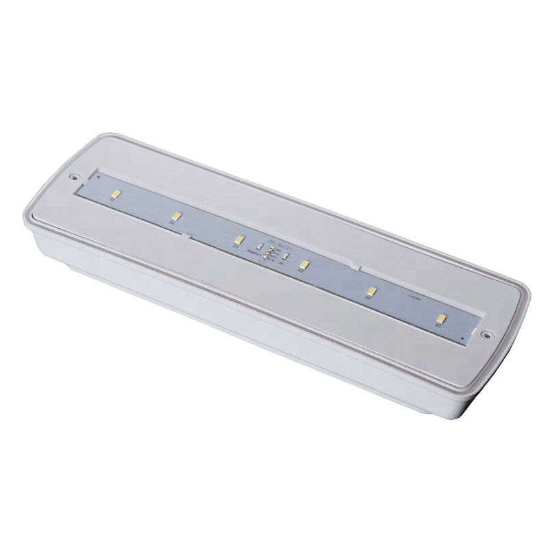 Endüstriyel IP65 Su geçirmez LED Acil Durum Işığı Islak Yer Dışarıda 3 Saat Yedekleme Ni-Cd