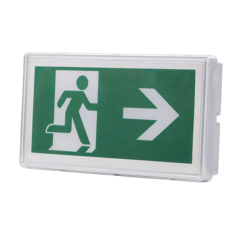Ni-Cd pil IP65 derecelendirilmiş ve 5730 SMD LED'li tavan içi acil çıkış işareti ışığı