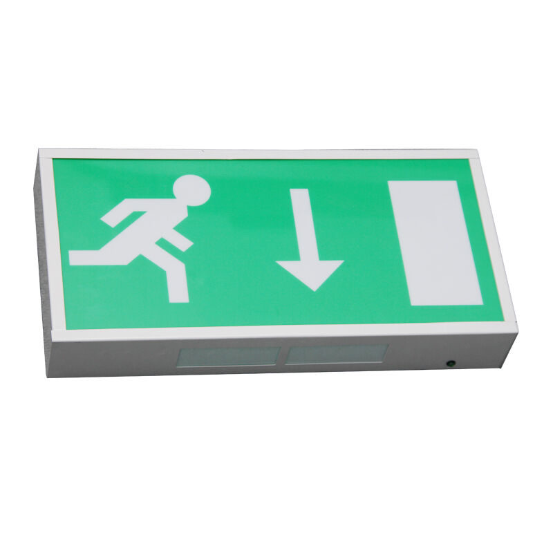 Piktogram Ni-Cd Pil yedek LED acil çıkış lambası 5730 SMD 3 yıllık garanti