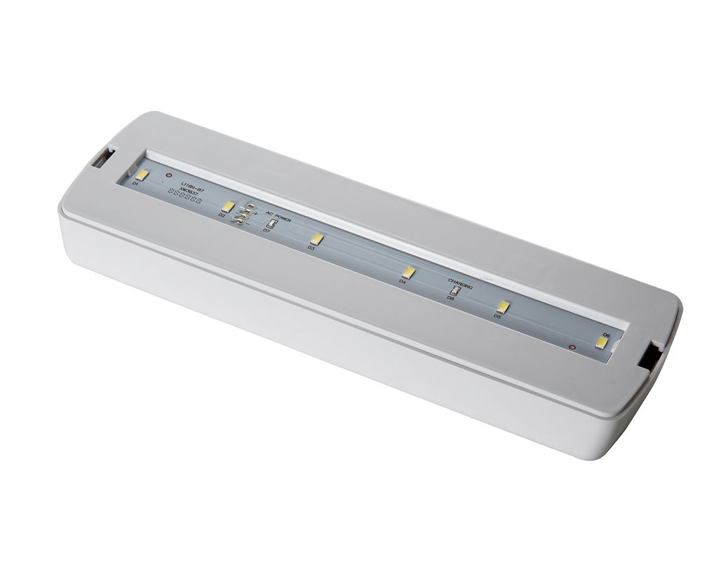 Pille Çalışma Buzlu Kapak LED Acil Durum Tüp Işığı AC Gücü L116M-B