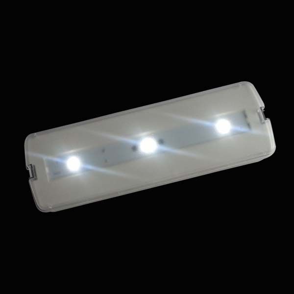 220V şarj edilebilir LED acil durum ışığı pil yedekleme CE onay duvar yüzeyi montajlı L116N-A1